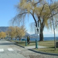 Downtown Peachland