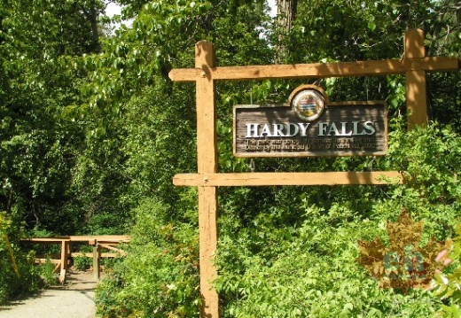 Trailhead to Falls
