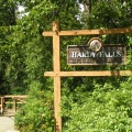 Trailhead to Falls