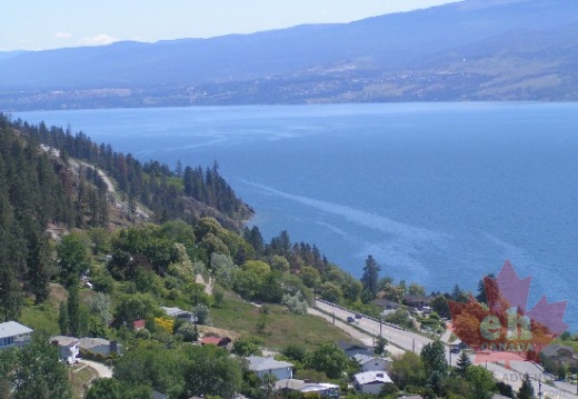Homes in Peachland