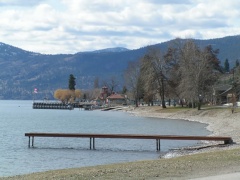 Shoreline