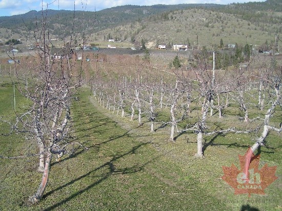 penticton_naramata_benchland_march06.jpg