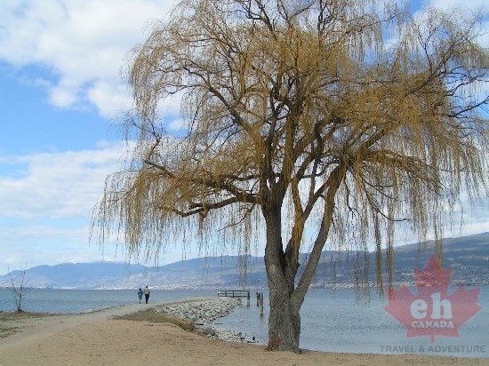 Okanagan Lake
