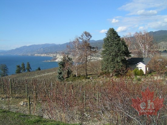 Winery