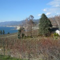 Winery