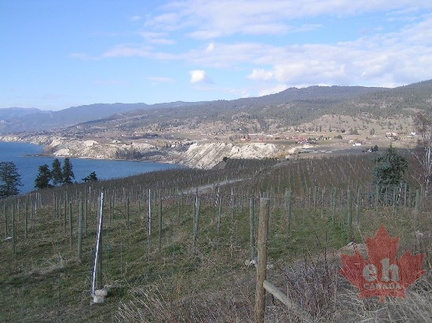 Orchards & Wineries