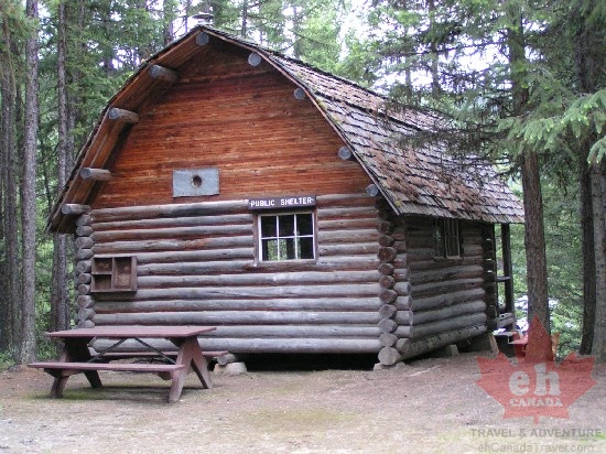 Shelter