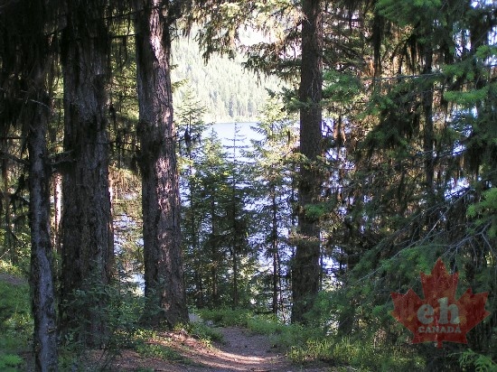 Hiking Trail
