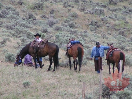 Cowboys