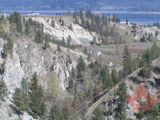 Trout Creek