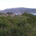 Rolling Hills Orchards
