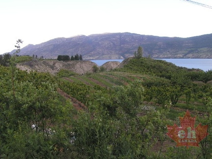Rolling Hills Orchards