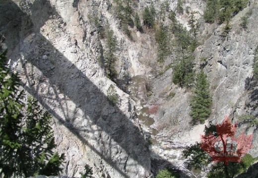 Views from Trout Creek Bridge