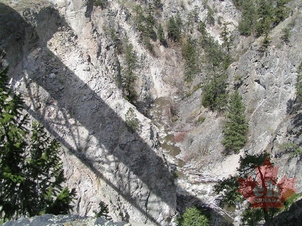 Views from Trout Creek Bridge