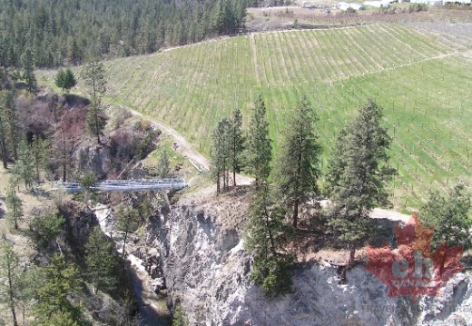 Orchards