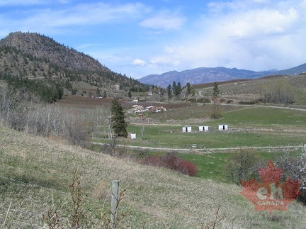 Vineyards