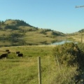 Commonage Rd.