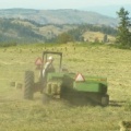 Hay Farmer