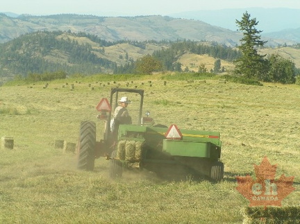 Hay Farmer