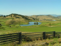 Golfing