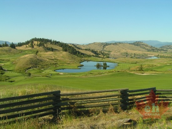 Golfing