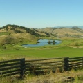 Golfing