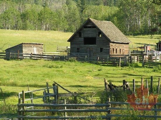 Old Barn