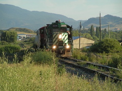 Train