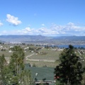 Views of Vineyards