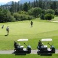 Golfing