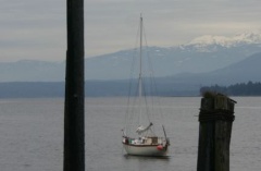 sailboat.jpg