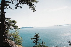 Ocean Views