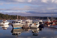 Fishing