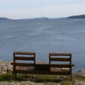 Viewing Chairs