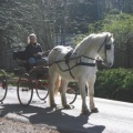 Day Rides