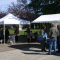 Saturday Market
