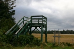 Viewing Platform