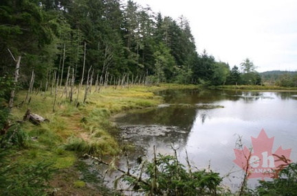 Sanctuary Shoreline