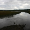 River Runs Through It