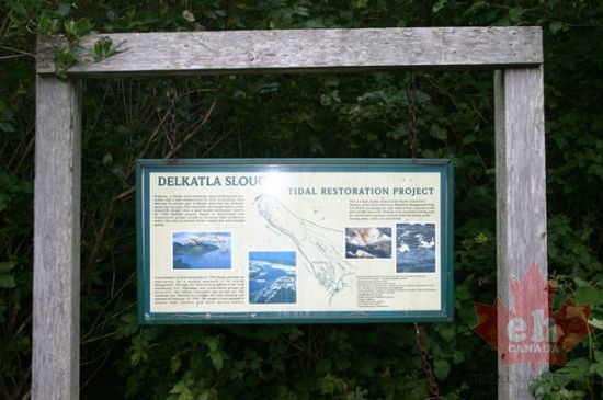 Delkatla Slough