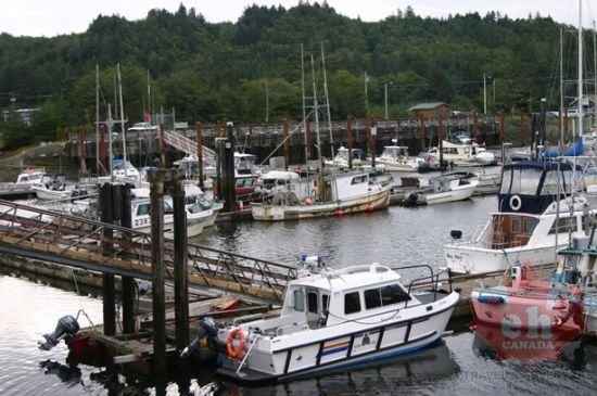 Pier and Boats