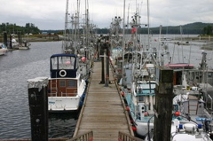 marina_boats 004.jpg