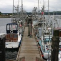 Gang blanks to boats
