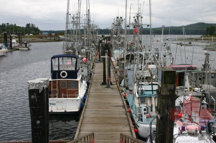 Gang blanks to boats