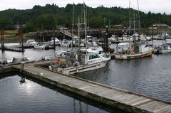 marina_boats 005.jpg
