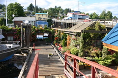 marina_in_village 004.jpg