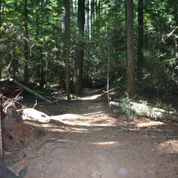 Sprockids Park