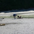 Digging for Something?
