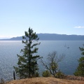 The Lookout