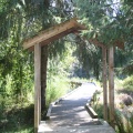 Walking Trail